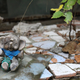 Image for article titled The Myth of an Untouched Chernobyl